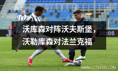 沃库森对阵沃夫斯堡，沃勒库森对法兰克福