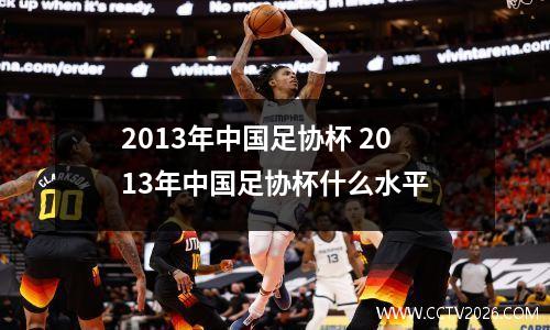 2013年中国足协杯 2013年中国足协杯什么水平
