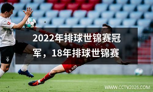 2022年排球世锦赛冠军，18年排球世锦赛