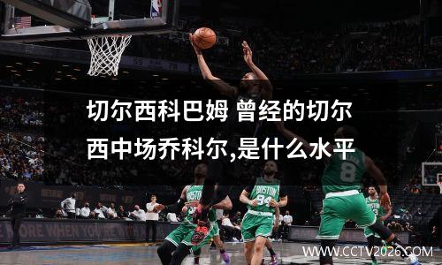 切尔西科巴姆 曾经的切尔西中场乔科尔,是什么水平