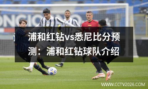 浦和红钻vs悉尼比分预测：浦和红钻球队介绍