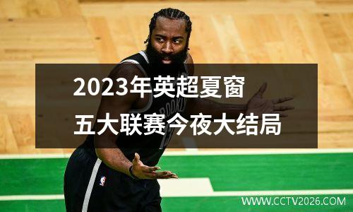2023年英超夏窗 五大联赛今夜大结局