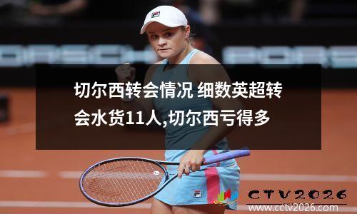 切尔西转会情况 细数英超转会水货11人,切尔西亏得多