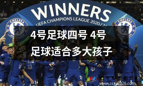 4号足球四号 4号足球适合多大孩子