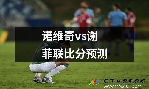 诺维奇vs谢菲联比分预测