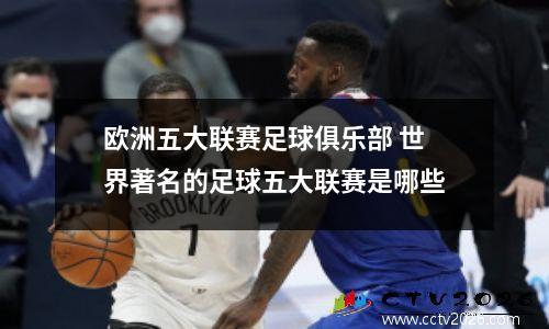 欧洲五大联赛足球俱乐部 世界著名的足球五大联赛是哪些