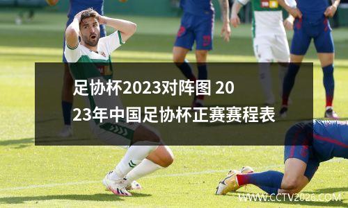 足协杯2023对阵图 2023年中国足协杯正赛赛程表