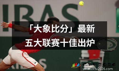 「大象比分」最新五大联赛十佳出炉