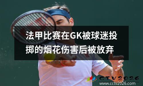 法甲比赛在GK被球迷投掷的烟花伤害后被放弃