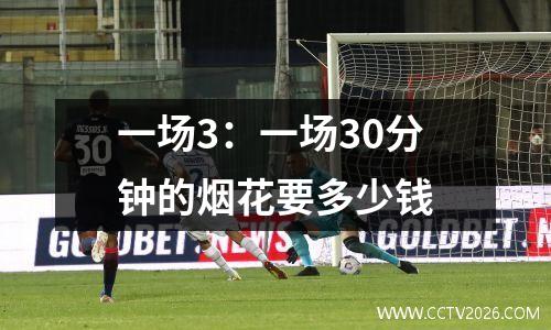 一场3：一场30分钟的烟花要多少钱