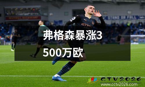 弗格森暴涨3500万欧