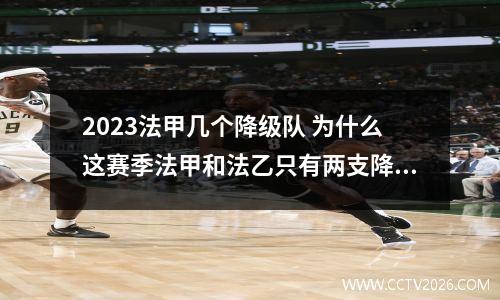 2023法甲几个降级队 为什么这赛季法甲和法乙只有两支降级,升级球队