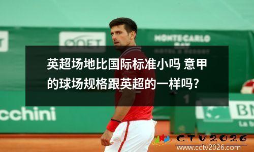 英超场地比国际标准小吗 意甲的球场规格跟英超的一样吗?