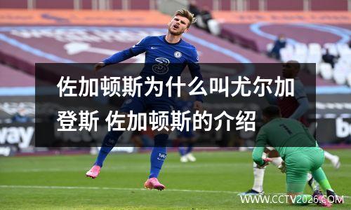 佐加顿斯为什么叫尤尔加登斯 佐加顿斯的介绍