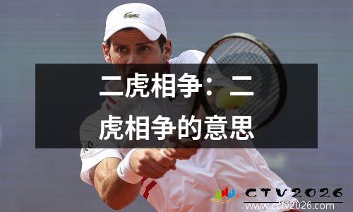 二虎相争：二虎相争的意思