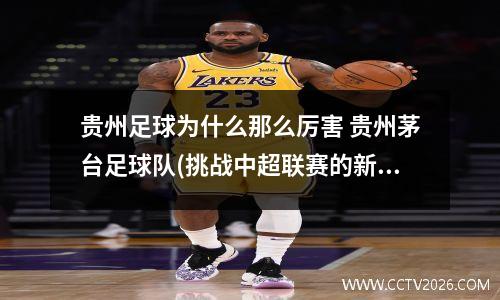 贵州足球为什么那么厉害 贵州茅台足球队(挑战中超联赛的新力量)