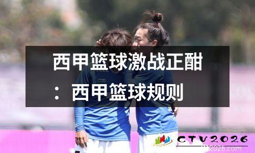 西甲篮球激战正酣：西甲篮球规则