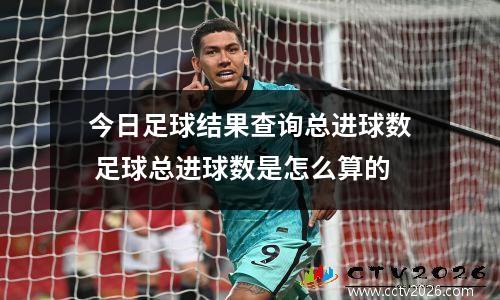 今日足球结果查询总进球数 足球总进球数是怎么算的