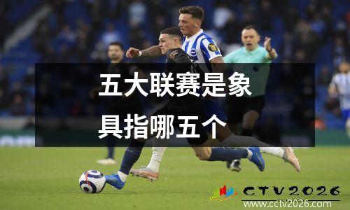 五大联赛是象具指哪五个
