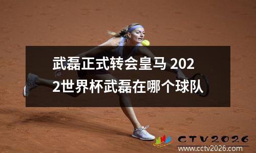 武磊正式转会皇马 2022世界杯武磊在哪个球队