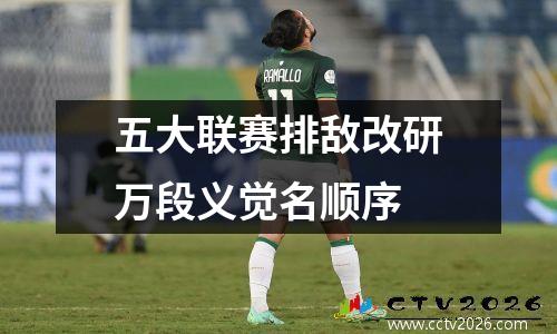 五大联赛排敌改研万段义觉名顺序