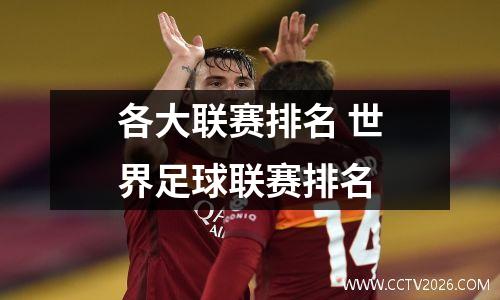 各大联赛排名 世界足球联赛排名