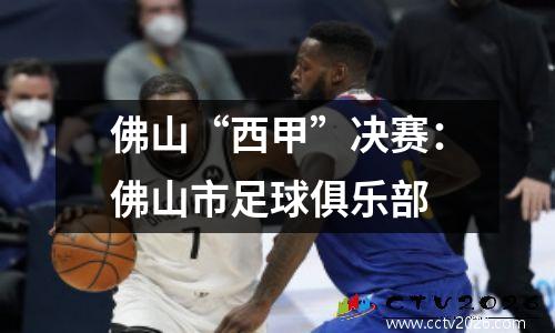 佛山“西甲”决赛：佛山市足球俱乐部