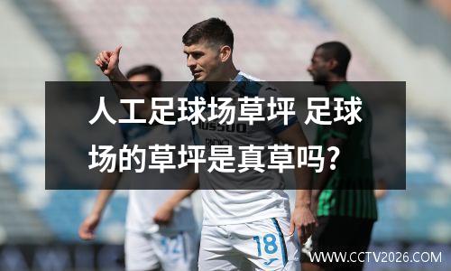 人工足球场草坪 足球场的草坪是真草吗?