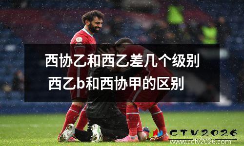 西协乙和西乙差几个级别 西乙b和西协甲的区别