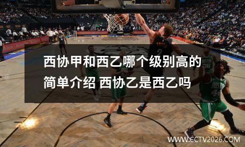 西协甲和西乙哪个级别高的简单介绍 西协乙是西乙吗