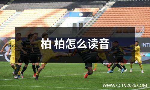 柏 柏怎么读音