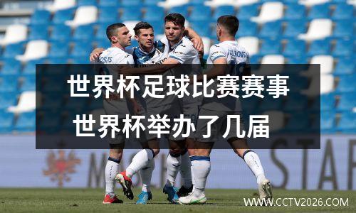 世界杯足球比赛赛事 世界杯举办了几届