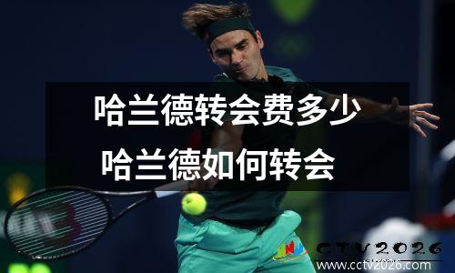 哈兰德转会费多少 哈兰德如何转会