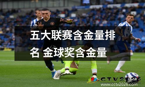 五大联赛含金量排名 金球奖含金量