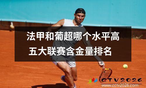 法甲和葡超哪个水平高 五大联赛含金量排名