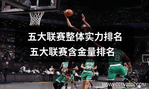 五大联赛整体实力排名 五大联赛含金量排名
