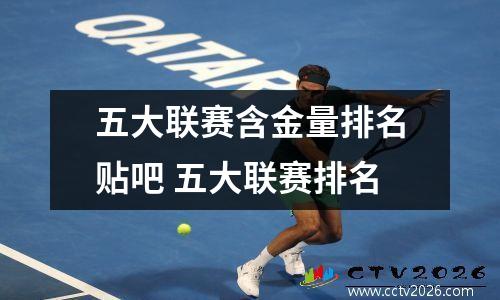 五大联赛含金量排名贴吧 五大联赛排名