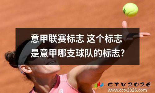 意甲联赛标志 这个标志是意甲哪支球队的标志?
