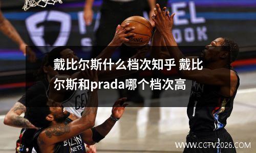 戴比尔斯什么档次知乎 戴比尔斯和prada哪个档次高