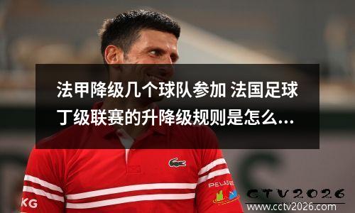 法甲降级几个球队参加 法国足球丁级联赛的升降级规则是怎么样的?