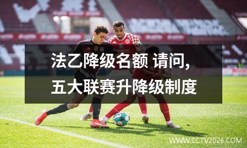 法乙降级名额 请问,五大联赛升降级制度