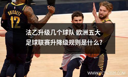 法乙升级几个球队 欧洲五大足球联赛升降级规则是什么?