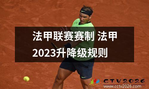 法甲联赛赛制 法甲2023升降级规则
