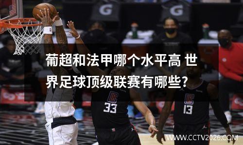 葡超和法甲哪个水平高 世界足球顶级联赛有哪些?