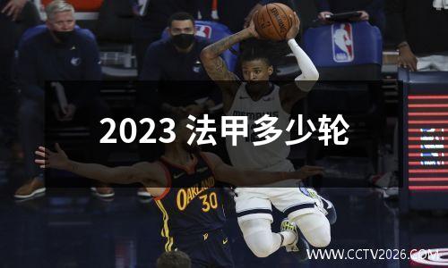 2023 法甲多少轮
