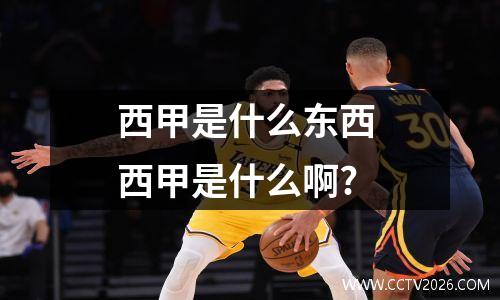 西甲是什么东西 西甲是什么啊?