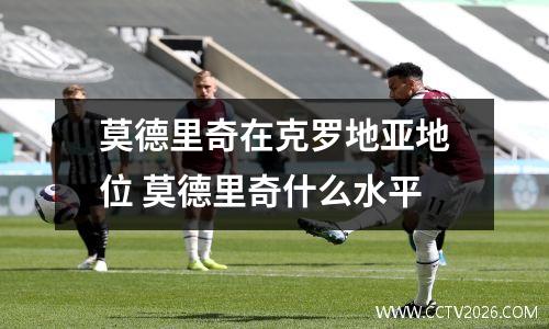 莫德里奇在克罗地亚地位 莫德里奇什么水平