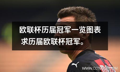 欧联杯历届冠军一览图表 求历届欧联杯冠军。
