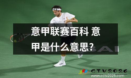 意甲联赛百科 意甲是什么意思?