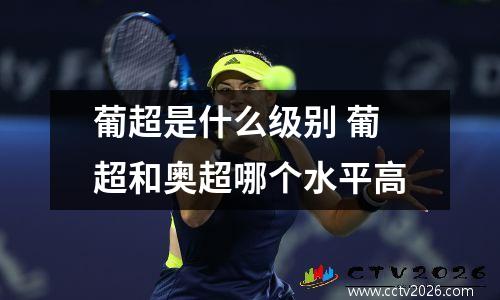 葡超是什么级别 葡超和奥超哪个水平高